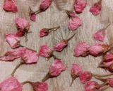 和風！春のパウンドケーキ作り方2写真