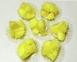 お弁当に冷凍りんごのコンポート作り方4写真