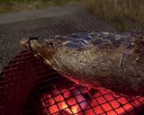 筍、丸焼き!作り方5写真