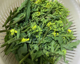 ばぁちゃんの菜の花ガーリック炒め作り方1写真