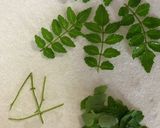 たけのこの木の芽和え作り方3写真