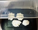 トンガリお菓子でアイス屋さん作り方9写真