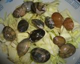 アサリと春キャベツで簡単ヘルシー蒸し焼き作り方6写真