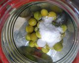 梅干し　昔ながらの味の強さ　簡単作り方3写真