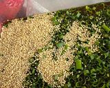 豪華なそうめん作り方2写真