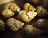 つぶ貝の煮物作り方2写真