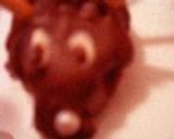 * *はりねずみチョコ* *作り方13写真