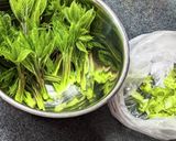 【覚書】春の味覚！こしあぶらの下ごしらえ作り方4写真