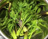 【覚書】春の味覚！こしあぶらの下ごしらえ作り方5写真