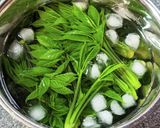 【覚書】春の味覚！こしあぶらの下ごしらえ作り方8写真