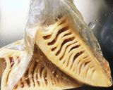 筍の味噌漬け作り方3写真