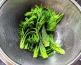 【覚書】春の味覚！こしあぶらの下ごしらえ作り方9写真