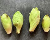 ふきのとうのザクカレー作り方1写真