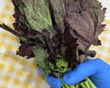 【春の味覚】からし菜の和えもの作り方1写真