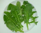 タンポポ若葉のお浸し：春の野草の味！作り方1写真