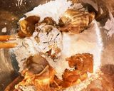 簡単 サクサク美味しい 鳥の唐揚げ作り方6写真
