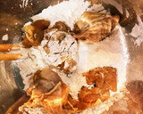 簡単　サクサク美味しい　鳥の唐揚げ作り方6写真