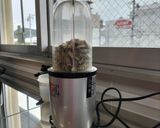 簡単に作れる！煮干し粉・かつお節粉作り方4写真