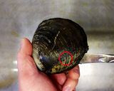 ホッキ貝の開け方作り方3写真