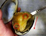 ホッキ貝の開け方作り方5写真