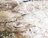 黄金のアジフライ 臭み無し カリフワ作り方4写真