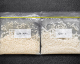 60℃「乾燥米麹と生米麹」仕上り比較実験作り方35写真