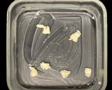 レンジで簡単　コンビーフ春キャベツ作り方1写真