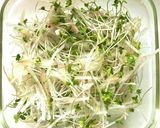 たっぷり薬味ストック作り方9写真