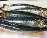 イワシのねぎプルーン煮。作り方1写真