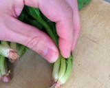 鰹節が香ばしい！ほうれん草のお浸し作り方1写真