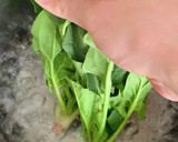鰹節が香ばしい！ほうれん草のお浸し作り方2写真