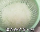 簡単！シンプル！春雨サラダ作り方4写真