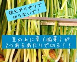 豆苗とオクラのねばシャキ和え作り方7写真