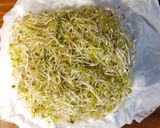 裏技 スプラウトや木の芽等の洗い方作り方5写真