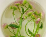 ハルジオンの胡麻和え　春菊の味作り方3写真