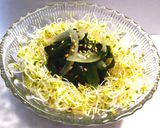 裏技 スプラウトや木の芽等の洗い方作り方13写真