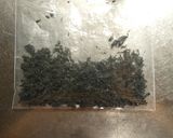 ワカメの和風ハンバーグ作り方3写真