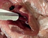 ピリ辛クセ強【鶏ハツ】チリコンカン風作り方2写真