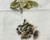 ピリ辛クセ強【鶏ハツ】チリコンカン風作り方4写真