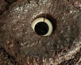 vbest チョコレートバンダットケーキ作り方6写真