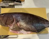 釣って来たヒラメマハタの真空パック熟成作り方8写真