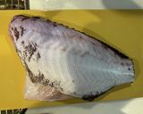 釣って来たヒラメマハタの真空パック熟成作り方9写真