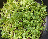 ゴマだれで食べる豆苗と豚こま蒸し作り方1写真