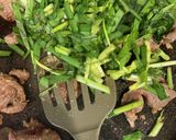 鶏の砂肝炒め作り方7写真