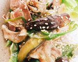 豚肉、茄子、ピーマンの鶏塩炒め作り方7写真
