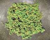 裏技 スプラウトや木の芽等の洗い方作り方15写真