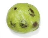 うちの味☆薄皮でチラリ♪ふっくら豆パン♪作り方14写真