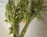 市販の天ぷら粉より美味しい天ぷら粉作り方3写真