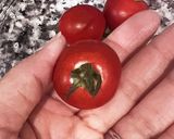ミニトマト 保存の仕方作り方1写真