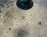 アオサ入り・茶碗蒸し作り方11写真